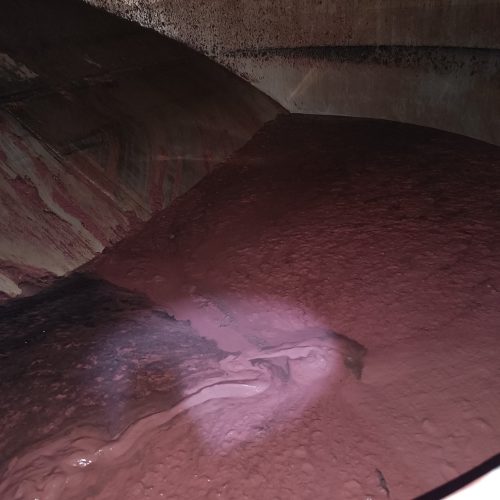 Nuestra materia prima